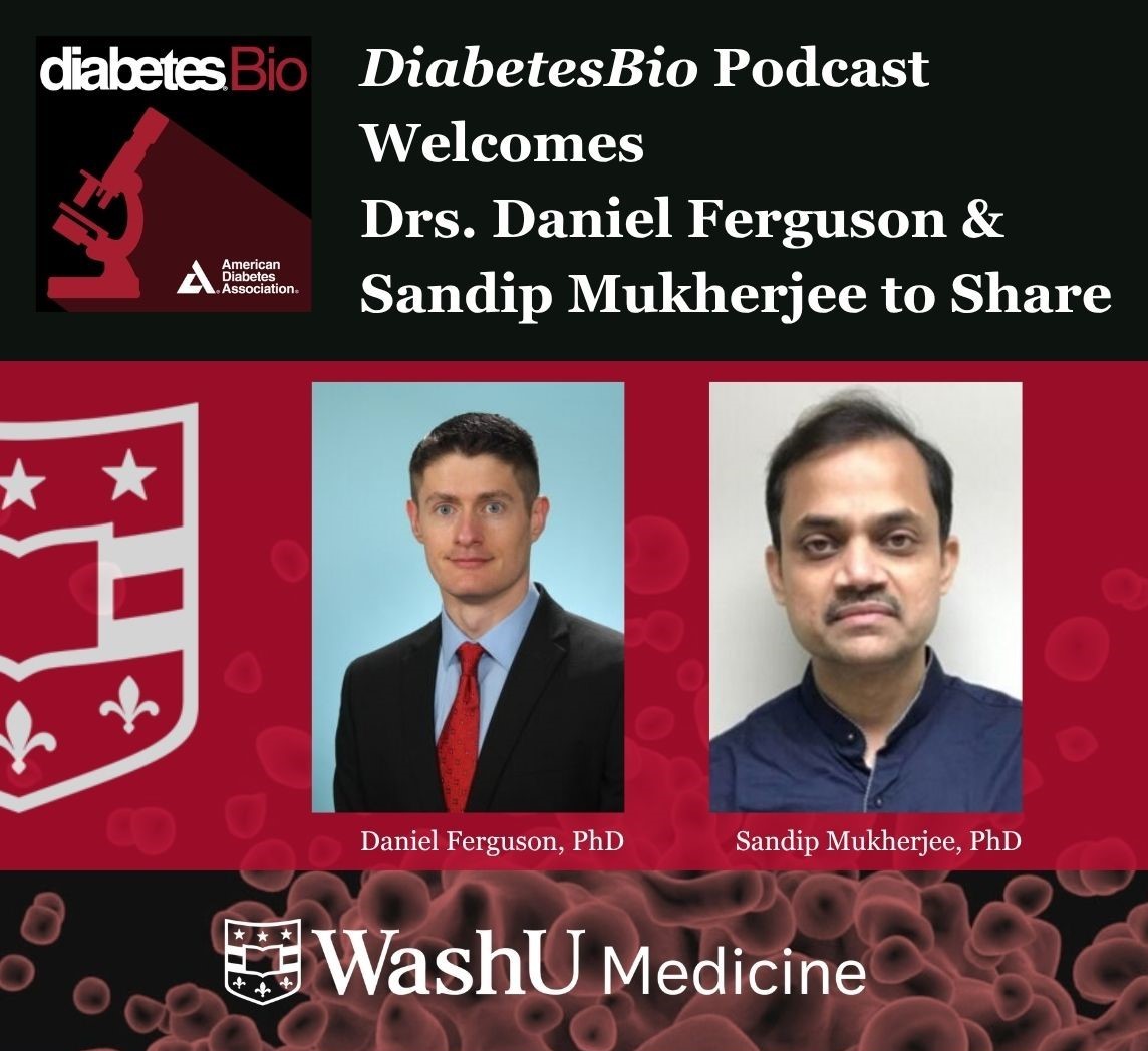 DiabetesBio Podcast Welcomes Drs. Daniel Ferguson & Sandip Mukherjee to Share Latest Research